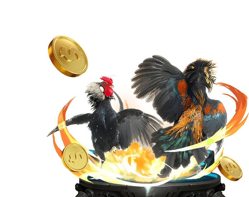 Kèo Meron trong đá gà